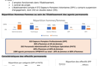 Synthèse du rapport social unique