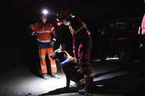 Exercice Cynotechnique dans les mines de Vicat